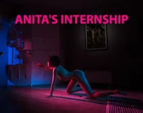 Anitas Internship [v 0.52]